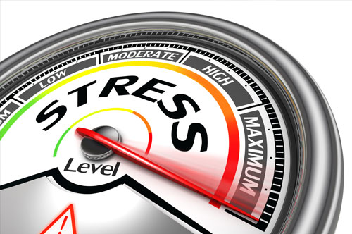 How to Stress Test Your Business in Times of Crisis